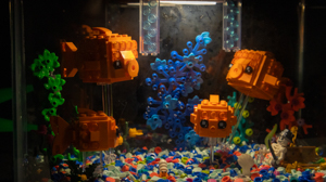 Fish Tank