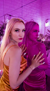 Harleyzellemodele