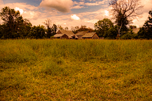 Grass Field